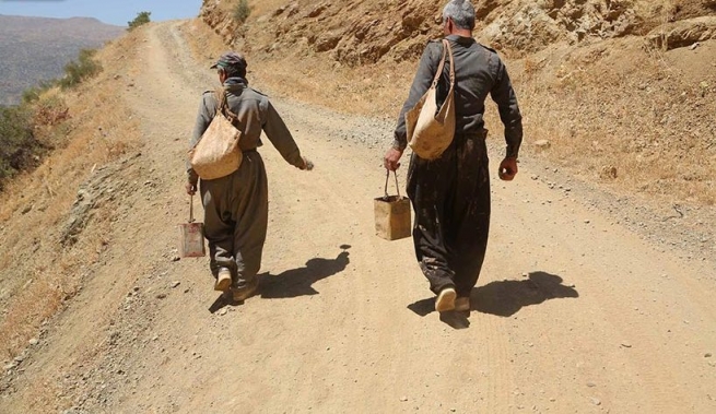 بنێشتكردن لە چیاكانی هەورامان 